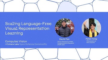 David Fan & Peter Tong  - Scaling Language Free Visual Representation Learning