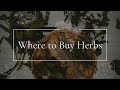 Where to Buy Herbs