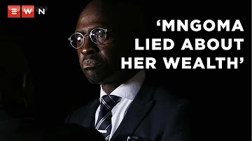 Gigaba: Mngoma lied to me about inheriting wealth from her father