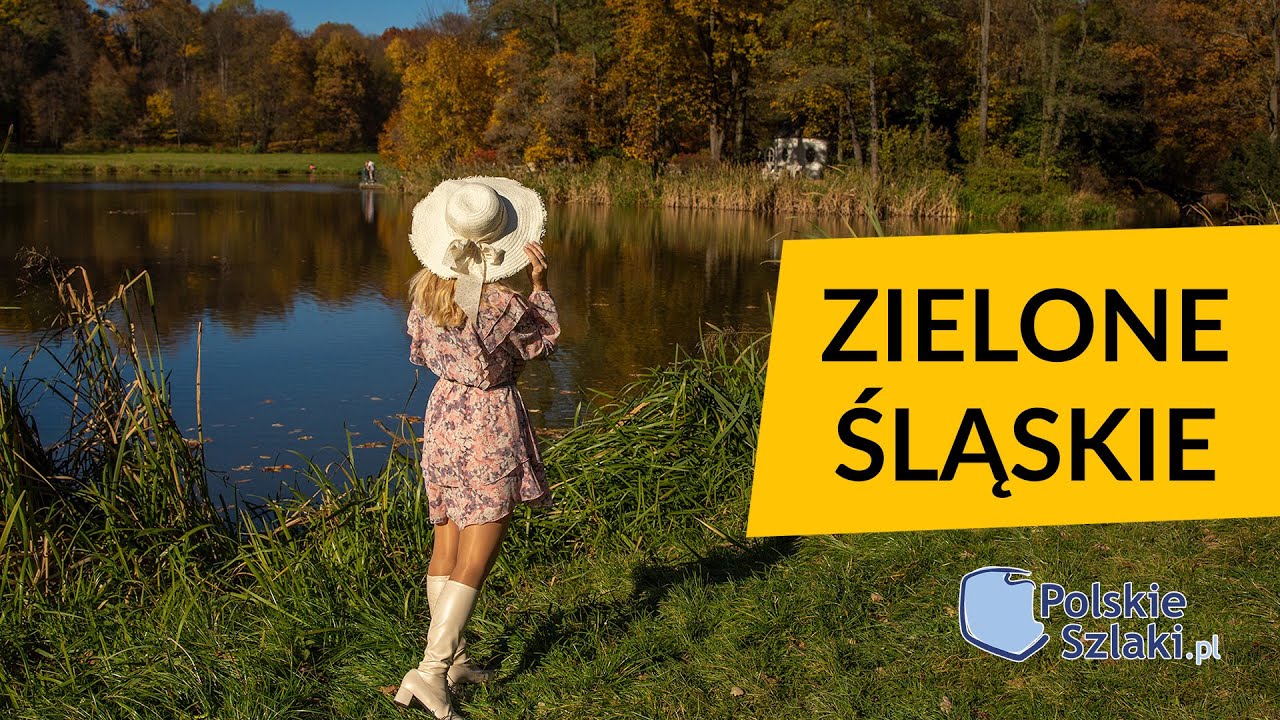 Zielone Śląskie 🌲🌳 piękna, miejscami dzika przyroda województwa śląskiego!