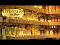 Lifestyles San Diego TV Show: Pacific Gate by Bosa and Raised by Wolves