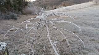 Download Lagu Una mattina di brina e gelo MP3