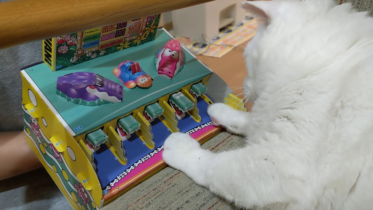 幼稚園付録 ワニワニパニックで遊ぶ猫 Youtube