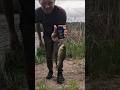 Только поймал и взвешиваем толстячка!!