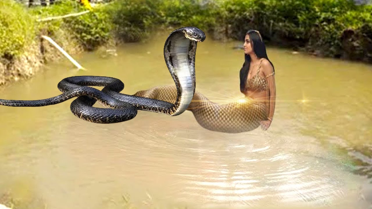 Latest Title & Thumbnail