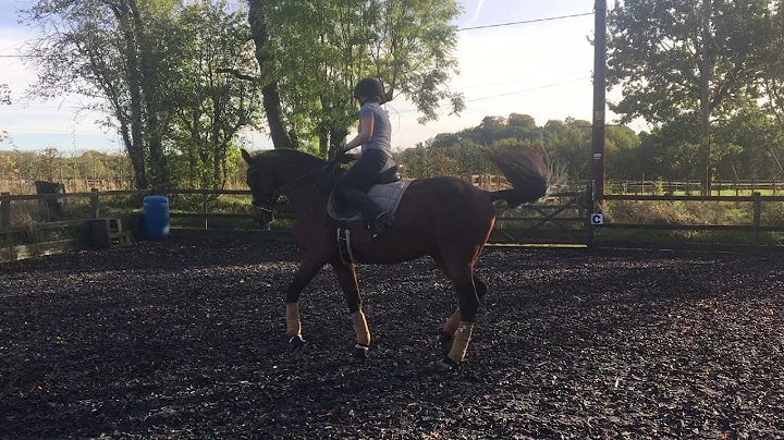 CDRC Dressage lesson with Suzanne Holt