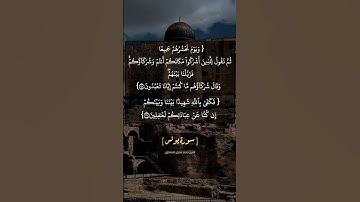 سورة يونس الآية ٢٨ و ٢٩ بصوت الشيخ محمد صديق المنشاوي