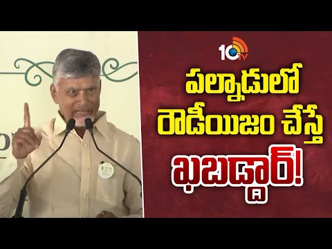 పల్నాడులో రౌడీయిజం చేస్తే ఖబడ్దార్! | CM Chandrababu Mass Warning | 10TV News - 10TVNEWSTELUGU
