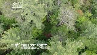 Lost 40 Minnesota: How This Pristine Forest Was Saved by a Mapping