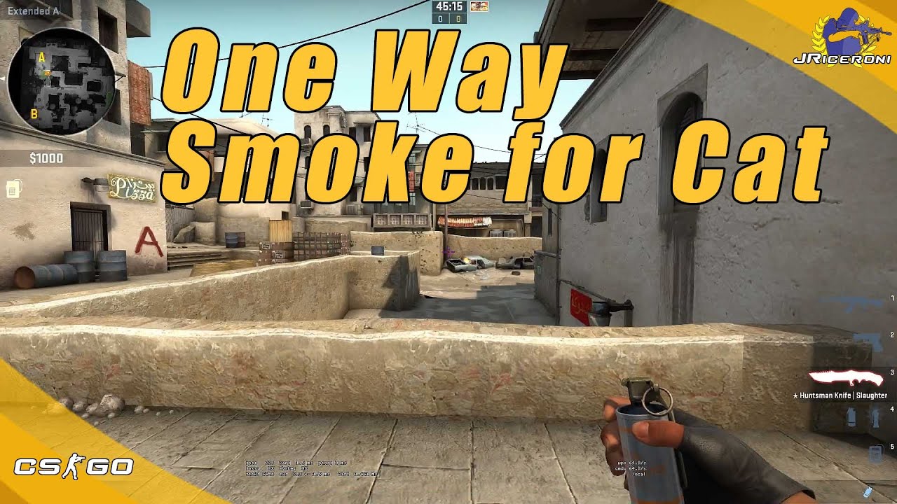 CS:GO | One Way Smoke for Cat on D2 - YouTube