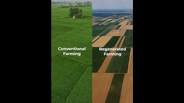 Regenerative agriculture is transforming how we grow, source, and sustain. Prove progress with GeoAI
