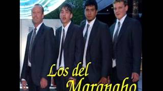 Video thumbnail of "LOS DEL MARANAHO SI ME VES LLORAR POR TI"