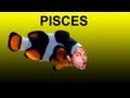 Revati Nakshatra (Vedic Astrology) Pisces Horoscope Ep. 27 of 27