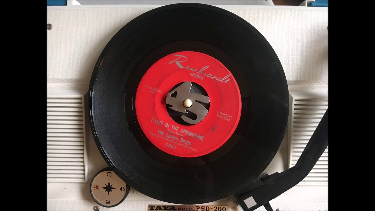The Lemon Drops - I live in the springtime (60'S FUZZ GARAGE PUNK)
