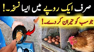 1 Rupee Secret Formula for Hens | Double Egg Production &amp; Super Health!