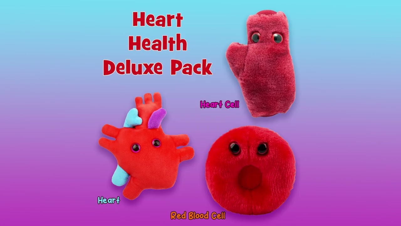 Heart Health Deluxe 3-Pack - Anatomy Gift Set | GIANTmicrobes