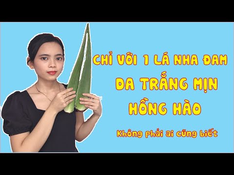 CÁCH ĐẮP MẶT NẠ NHA ĐAM TRẮNG DA  - hiệu quả ngay khi làm đúng cách này