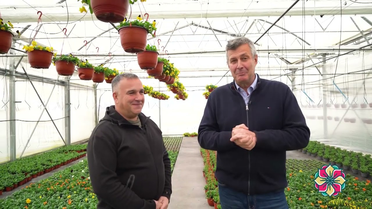 Cvetni kutak ep. 272 23.01.2025. Zamia furfuracea, aglaonema, rasadnik 