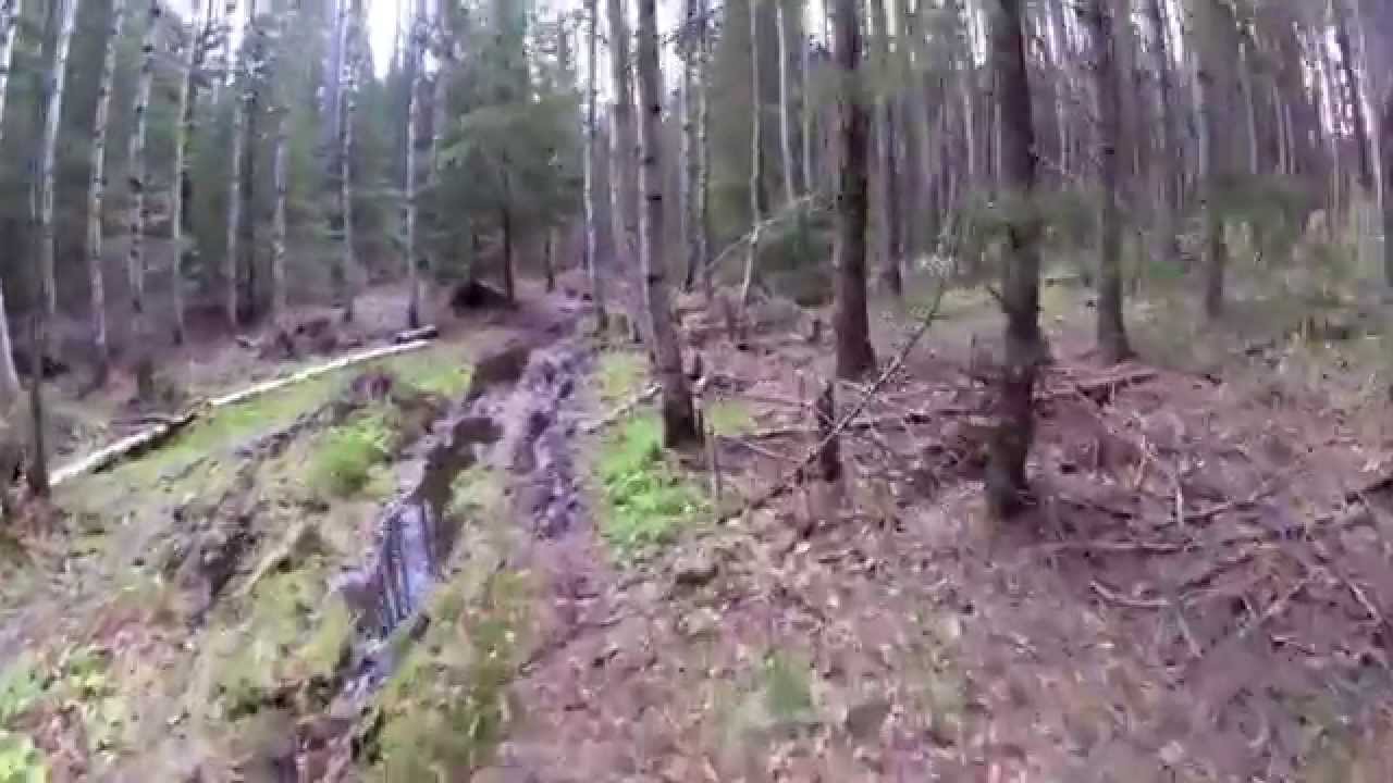 Sipoonkorpi – MTB-reitti