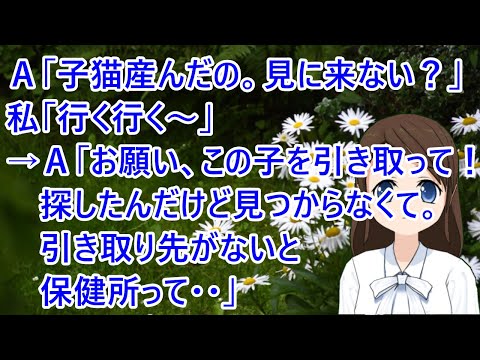 Ａ「猫が子猫産んだの。見に来ない？」私「行く行く～」→Ａ「お願い、この子を引き取って！探したんだけど見つからなくて。引き取り先がないと保健所って・・」【修羅場】