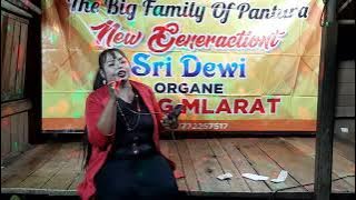 pura-pura mesem || ULFI VANIRA || cover ERNI wm #tarlingcirebonan #pura-puramesem