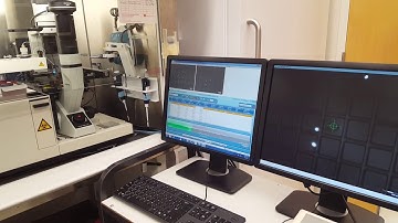 Single cell picking from Nanowell plate to PCR plate | CellCelector - Instrument view