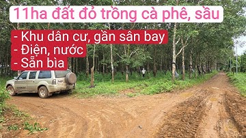 Bán đất đỏ trồng cà phê sầu riêng khu dân cư gần sân bay, bất động sản đất rẫy