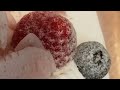 りょうしょく　2022/05/19