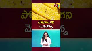 Health Benefits Of Eating Boiled Corn Ntv