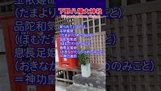 下野八幡大神社ショート#高千穂#Shorts#穴場#巨木#下野八幡宮#パワースポット