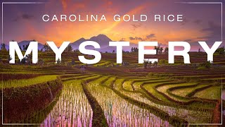 Unraveling the Mysterious Origin of Carolina Gold