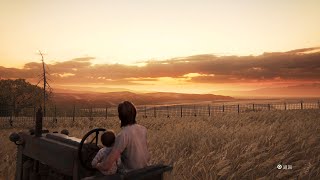 1 Hour Wind Through Grass & Cricket Sounds, for Deep Sleep, Insomnia, White Noise - The Last Of Us 2