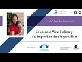 Leucemia Viral Felina y su Importancia Diagnóstica - MVZ Esp. Sonia Lomelin