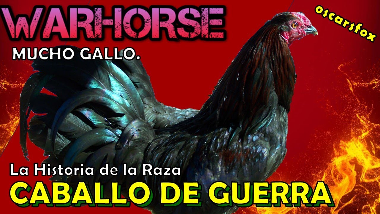 WARHORSE raza de gallinas finas Gallos Historia y Características - YouTube