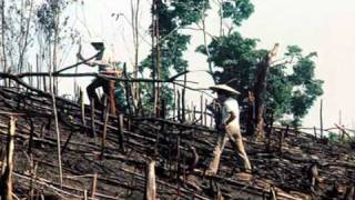 Slash Burn