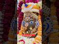 #lordganesha🙏🏾🌼 #vinayaka🙏🏽🌺#devotionalhits🕉️👌🏾 #ytshorts ✨✨#god 🙏🛕 #telugushorts 👍🏾