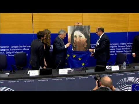 Daphne Caruana Galizia honoured in Strasbourg