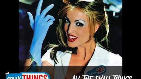 the Small Things blink 182 Tribute PROMO TEASER