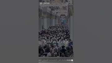 مقتطف من تلاوة فضيلة الشيخ #علي_الحذيفي من صلاة العشاء 10 شعبان 1446هـ
