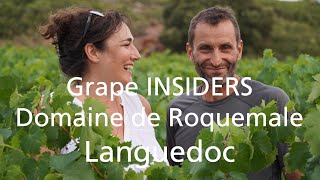 Grape INSIDERS: Domaine de Roquemale in Languedoc