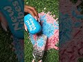 🧼Relaxing ASMR Soap Opening ✨ | Soothing Soap Unwrapping | Satisfying Sounds #satisfying #unpacking