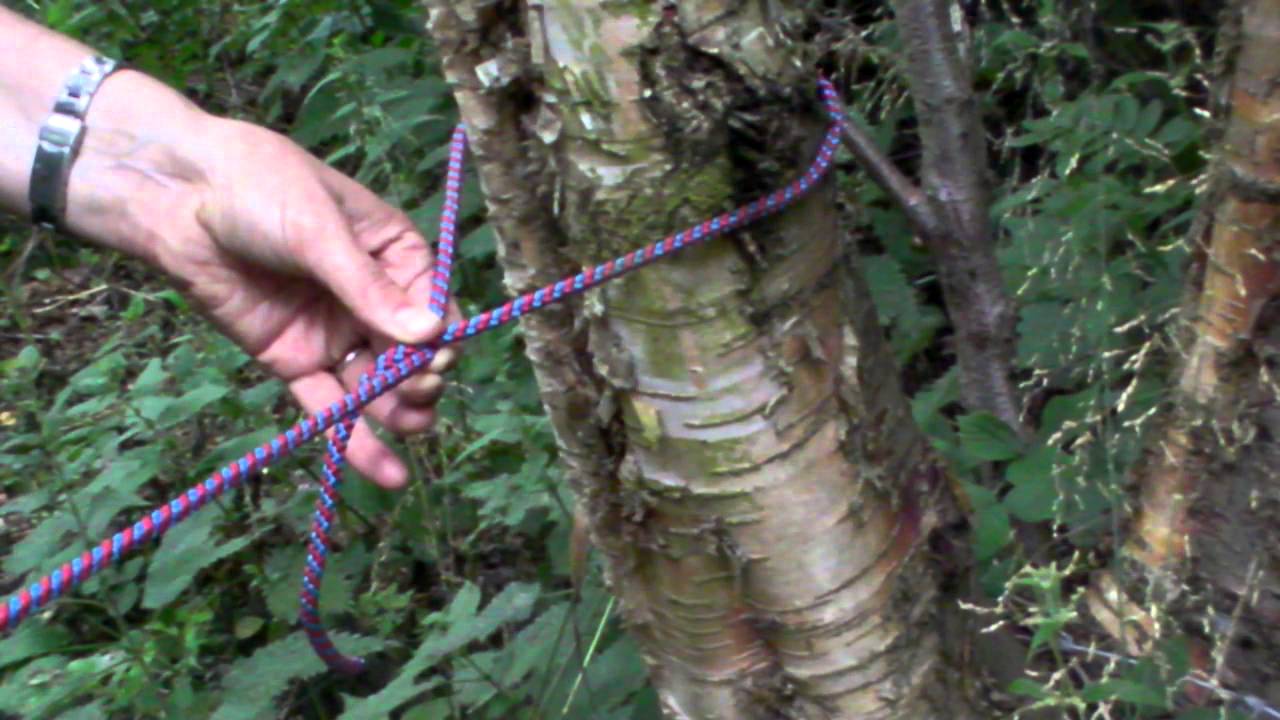 5 Timber Hitch YouTube