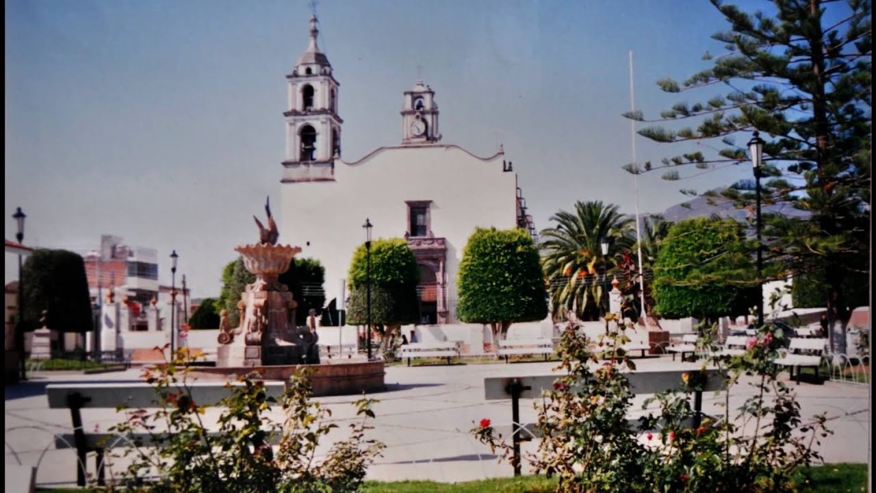 ZINAPÁRO MICHOACÁN FLORA DEL LUGAR MÉXICO 2010 - YouTube