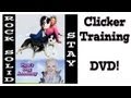 Rock Solid Stay: Clicker Training DVD Rock Solid Stay: Clicker Training DVD
