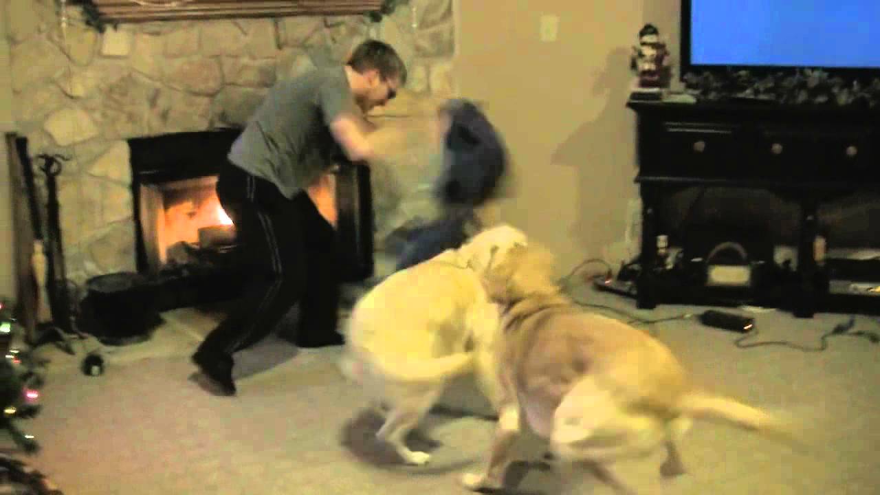 Psycho Dad Destroys Xbox - YouTube