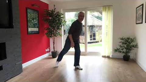 Cha Cha Cha advanced shines