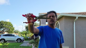 New topiary shears from Amazon.