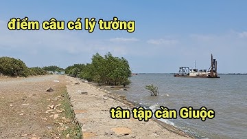 câu cá giải trí cá ngát,cá út tân tập cần Giuộc Long An, điểm câu cá quá đẹp và lý tưởng 2024