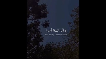 حَتَّىٰ إِذَا اسْتَيْأَسَ الرُّسُلُ وَظَنُّوا أَنَّهُمْ قَدْ كُذِبُوا.. سورة يوسف اية 110