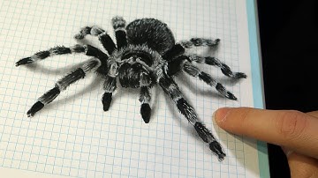 Cómo dibujar una Araña 3D Realista en libreta/cuaderno escolar | ILUSIÓN ÓPTICA INCREÍBLE | Tutorial